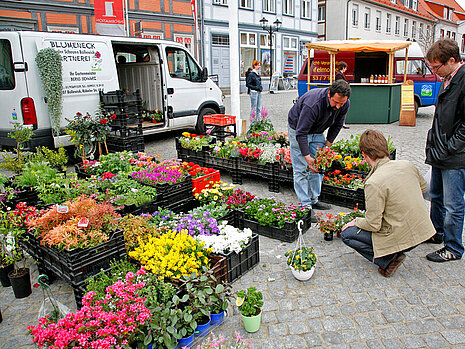 Händler in der Innenstadt von Waren (Müritz)