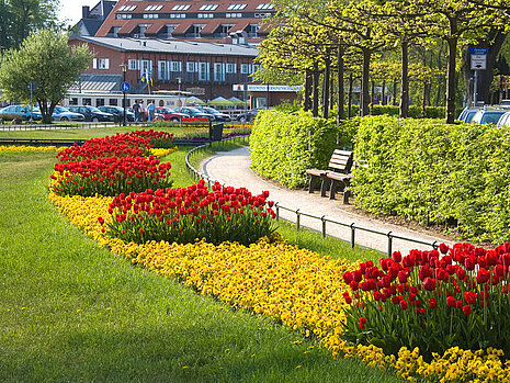 Blumenrabatten in Waren (Müritz)